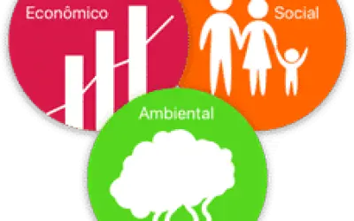 Manejo florestal detém desmatamento e ajuda economia!?