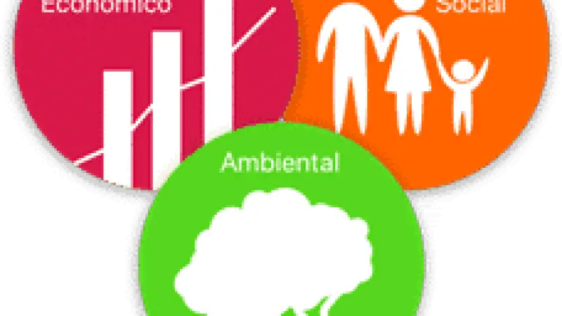 Manejo florestal detém desmatamento e ajuda economia!?