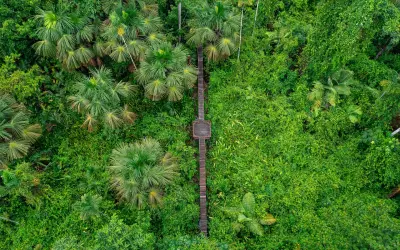 Mato Grosso ganha nova área protegida com criação da RPPN Fazenda Anacã