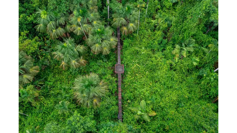 Mato Grosso ganha nova área protegida com criação da RPPN Fazenda Anacã
