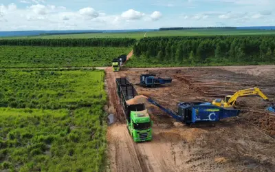 Mato Grosso projeta salto em Florestas plantadas para sustentar indústria do Etanol de Milho