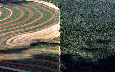 Matopiba: a última fronteira agrícola do Brasil e seus desafios socioambientais