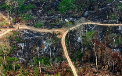 Medidas provisórias que reduzem áreas protegidas na Amazônia são aprovadas no Senado