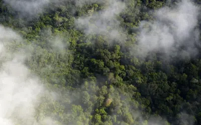 Microsoft e Imazon lançam tecnologia contra desmatamento na Amazônia