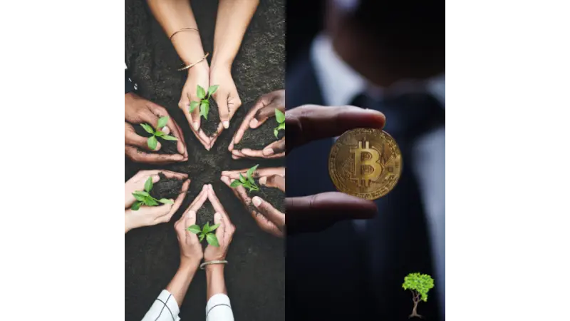 Mineração de criptomoeda não é tão ruim para o meio ambiente como costumava ser