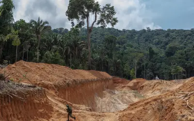 Mineração ilegal de ouro nos biomas brasileiros: Liberação de carbono, contaminação por mercúrio e riscos à saúde pública