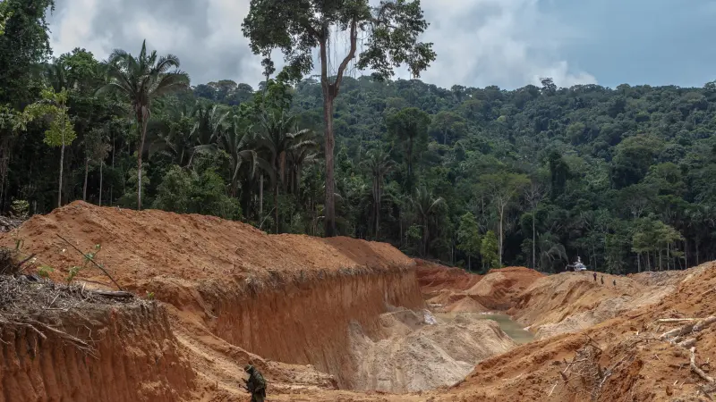 Mineração ilegal de ouro nos biomas brasileiros: Liberação de carbono, contaminação por mercúrio e riscos à saúde pública