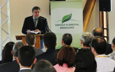 Ministro lança medidas para setor florestal