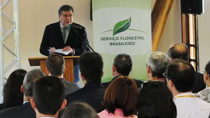 Ministro lança medidas para setor florestal