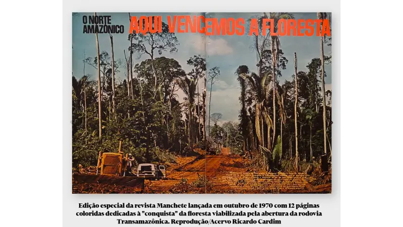 Mogno Brasileiro – Uma história de sucesso? Pra quem?