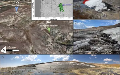 Mudanças Climáticas e as Florestas de Pinheiro-Branco: Lições do Passado no Ecossistema de Yellowstone através dos Anéis de Crescimento das Árvores