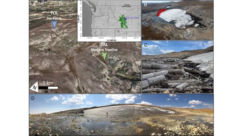 Mudanças Climáticas e as Florestas de Pinheiro-Branco: Lições do Passado no Ecossistema de Yellowstone através dos Anéis de Crescimento das Árvores