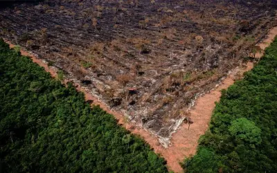 Mudanças climáticas: Estudo apontará soluções e políticas públicas