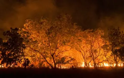 Mundo caminha para aquecimento de 2,7°C neste século; perigo é sem precedentes