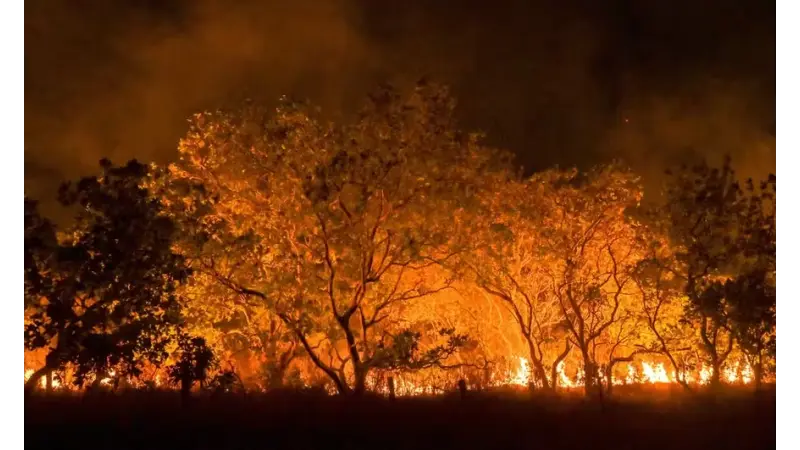 Mundo caminha para aquecimento de 2,7°C neste século; perigo é sem precedentes