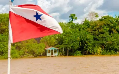 Pará sai do ranking dos desmatadore da Amazônia em 2023