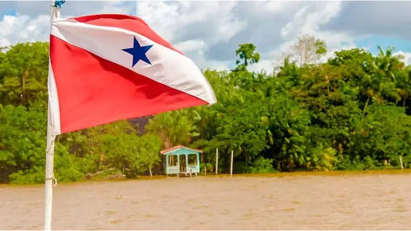 Pará sai do ranking dos desmatadore da Amazônia em 2023