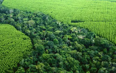 Na Amazônia, 93% dos imóveis ainda não tiveram o Cadastro Ambiental Rural validado