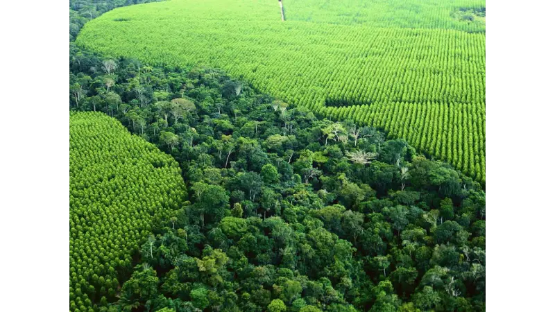 Na Amazônia, 93% dos imóveis ainda não tiveram o Cadastro Ambiental Rural validado
