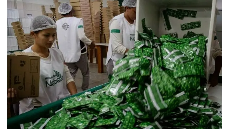 Na Amazônia, 'fábrica do amor' produz preservativos sustentáveis