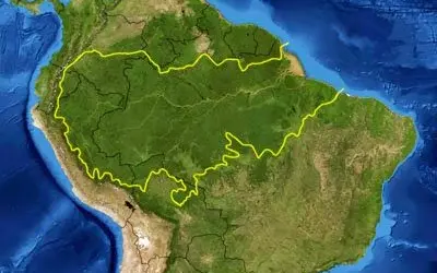 Nasa conclui que Amazônia absorve mais gás carbônico do que emite