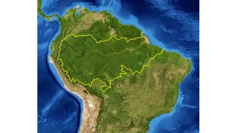 Nasa conclui que Amazônia absorve mais gás carbônico do que emite