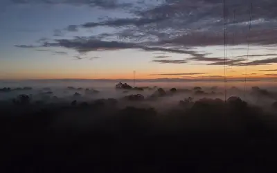 Elevador da biodiversidade: nevoeiro da Amazônia transporta microrganismos vivos que regeneram a floresta