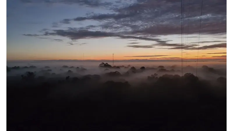 Elevador da biodiversidade: nevoeiro da Amazônia transporta microrganismos vivos que regeneram a floresta
