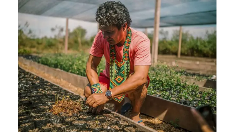 No Acre, indígenas lideram ações de reflorestamento da Amazônia