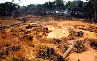 Noruega anunciou fundo de US$ 400 milhões para deter desmatamento de florestas tropicais