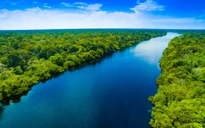 Noruega Anuncia Doação de US$ 60 Milhões ao Fundo Amazônia