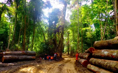 Nova norma do Ibama relacionada ao CAR gera preocupações no setor madeireiro de Mato Grosso
