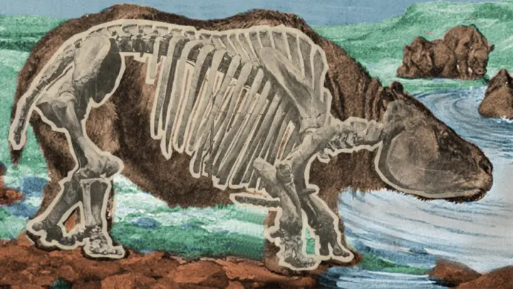 Novos indícios de interação humana com megafauna pré-histórica no Brasil