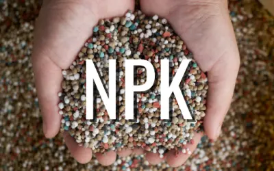 NPK - Nitrogênio, Fósforo e Potássio