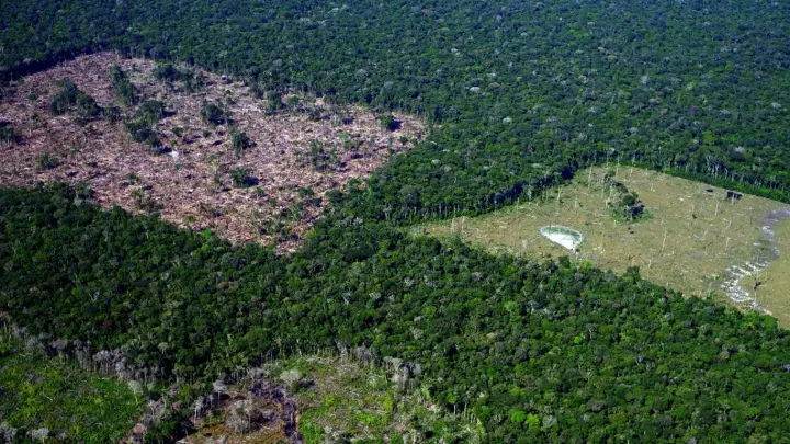 Nova concessão para reflorestar Amazônia será 20 vezes maior