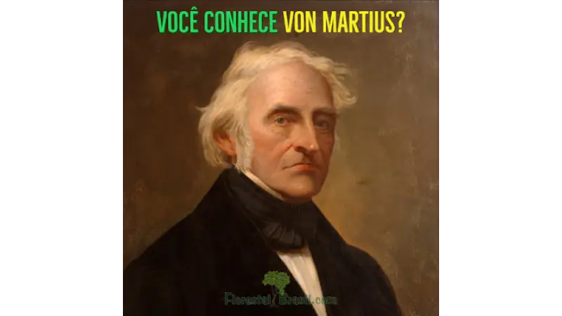 O homem que 'batizou' a nossa natureza