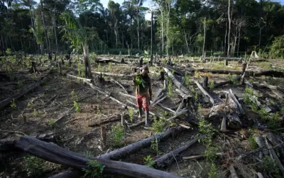 O "ponto de inflexão" da Amazônia está mais próximo e isso é preocupante!