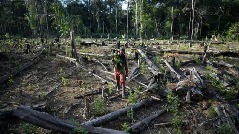 O "ponto de inflexão" da Amazônia está mais próximo e isso é preocupante!