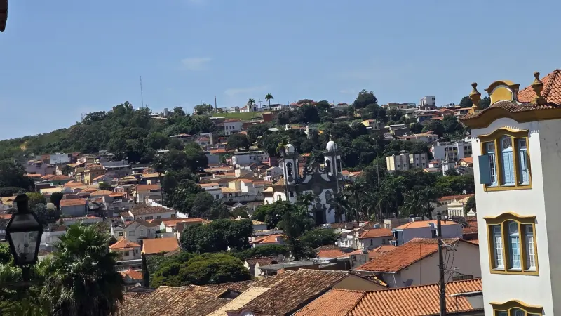 O que é Arborização Urbana?