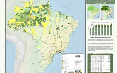 O que é, e para o que serve o Cadastro Nacional de Florestas Públicas?