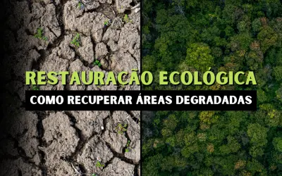 O que é Restauração Ecológica?