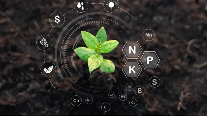 O que são fertilizantes e quais seus tipos?