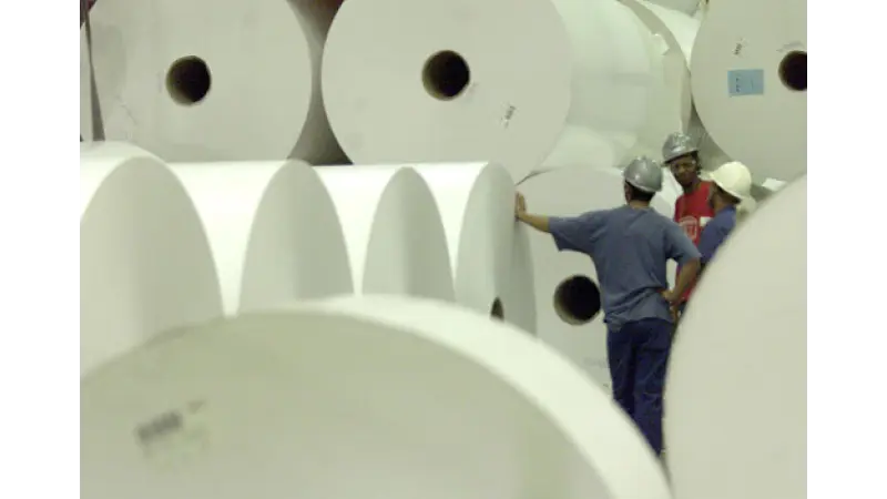 O setor de papel e celulose segue um crescimento surpreendente devido à demanda de produtos mais sustentáveis