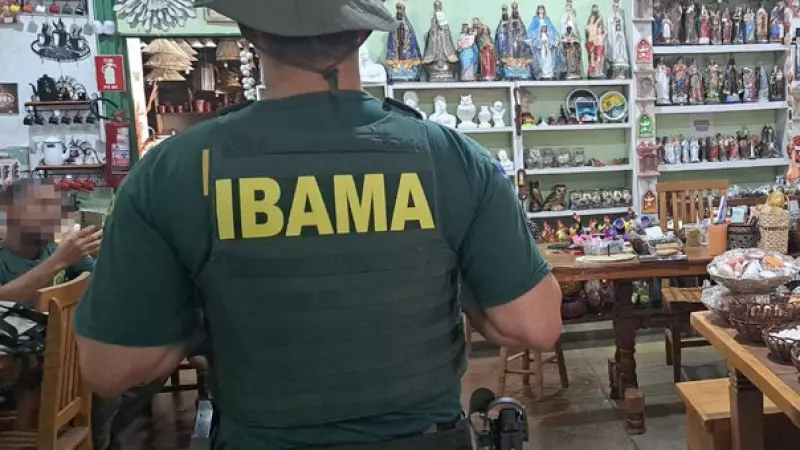 Operação Ibama combate tráfico de fauna silvestre e alerta para os perigos ao meio ambiente