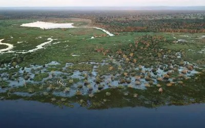 Pantanal perdeu 29% de superfície de água, entre a cheia de 1988 e 2018