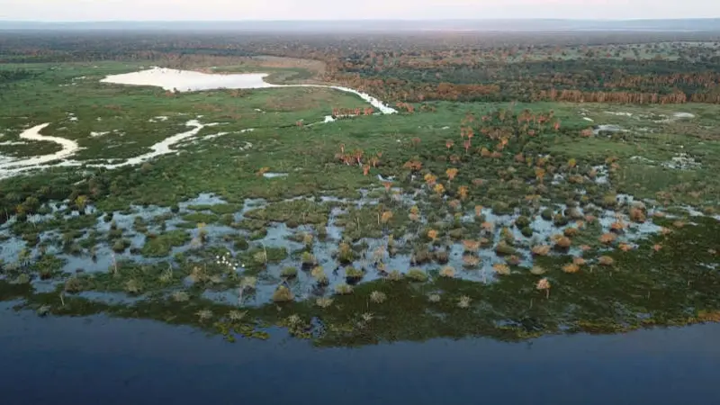 Pantanal perdeu 29% de superfície de água, entre a cheia de 1988 e 2018