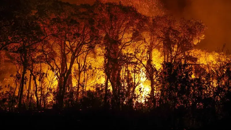 Pantanal tem mais de 3 mil incêndios apenas em novembro