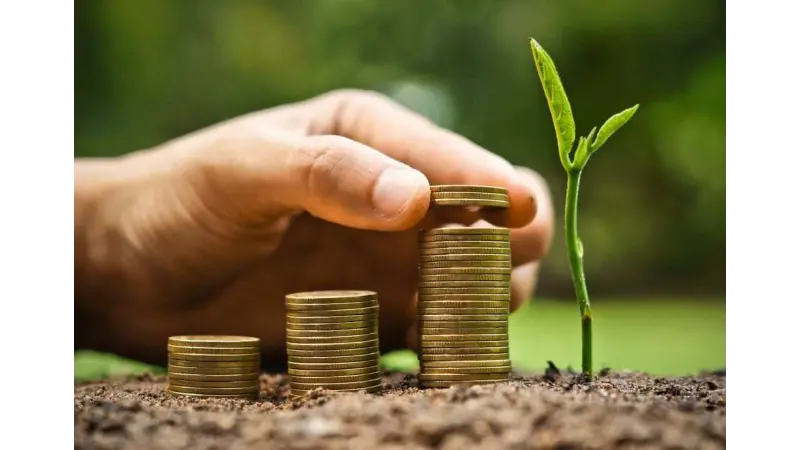 Para BNDES, investir em floresta vale mais que especular com ações