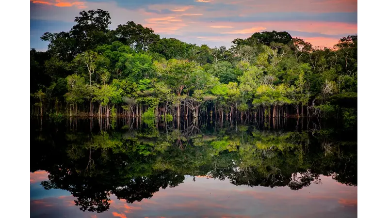 Para evitar a 6ª extinção em massa, precisamos preservar 1,2% da área terrestre