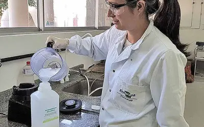 Para que serve o eucalipto? Espessante natural e outras utilizações